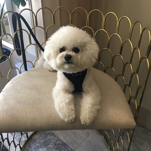 Meet your Posher, Chris - Picture 1 of 1